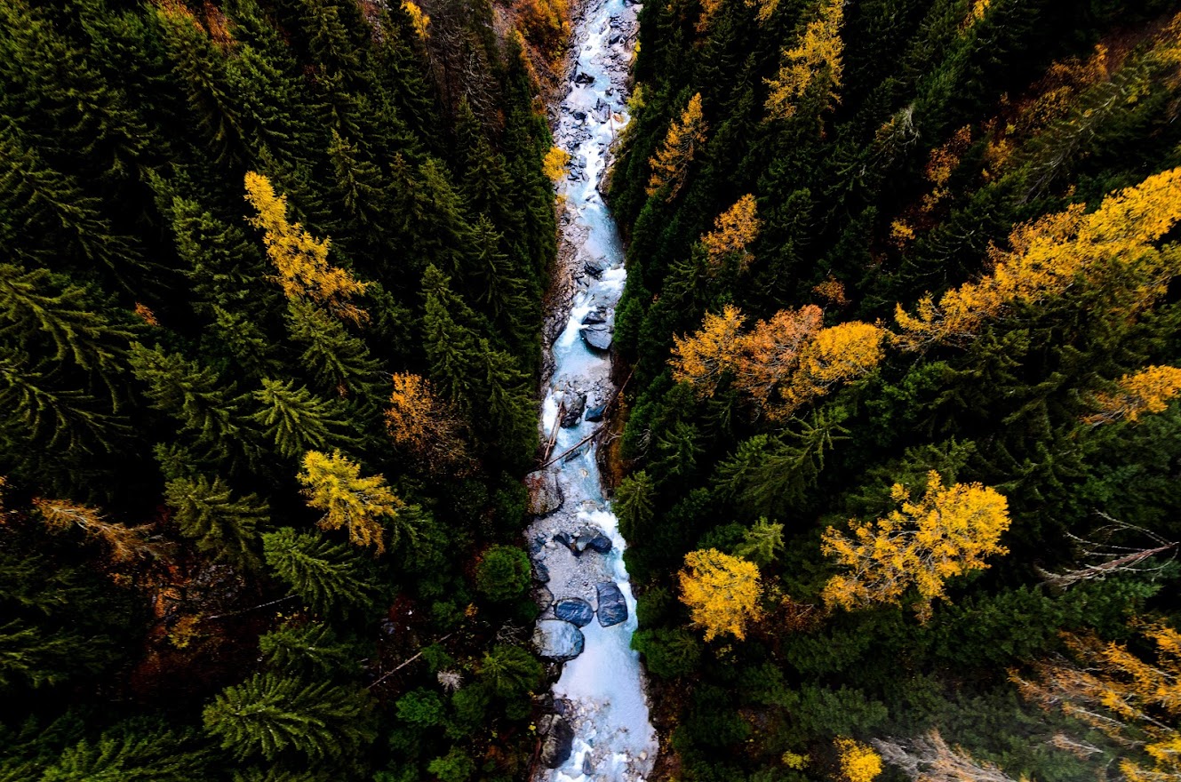 aerial view creek in forest in fall